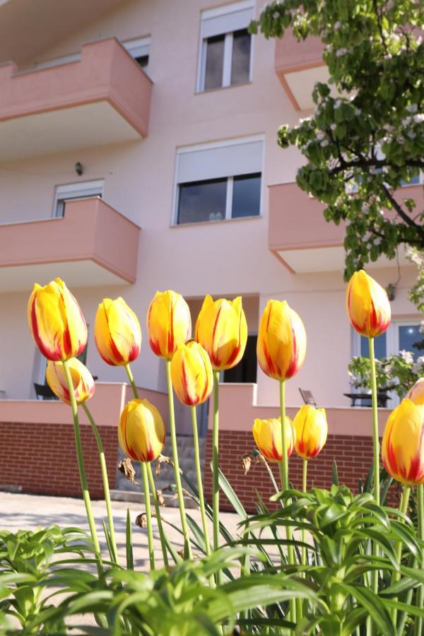 Pensión Turka House *