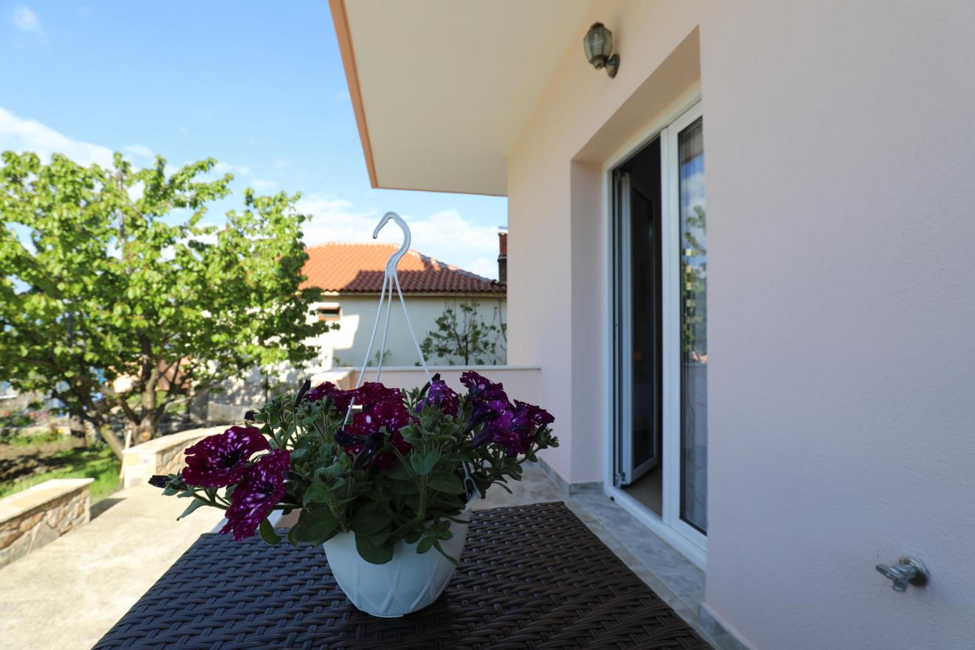 Turka House Pogradec